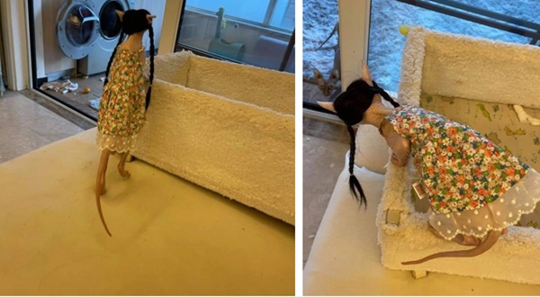 Bức ảnh khiến dân mạng nháo nhào không biết quái vật tỷ tỷ phương nào, xem kỹ mới nhận ra danh tính quá chất!-4