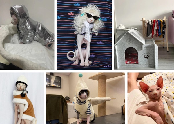 Bức ảnh khiến dân mạng nháo nhào không biết quái vật tỷ tỷ phương nào, xem kỹ mới nhận ra danh tính quá chất!-5