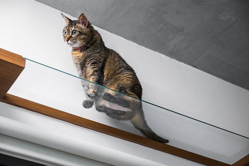 Tổ ấm mini của cặp vợ chồng trẻ với những tấm gương xuyên thấu và không gian giải trí cực chất-5