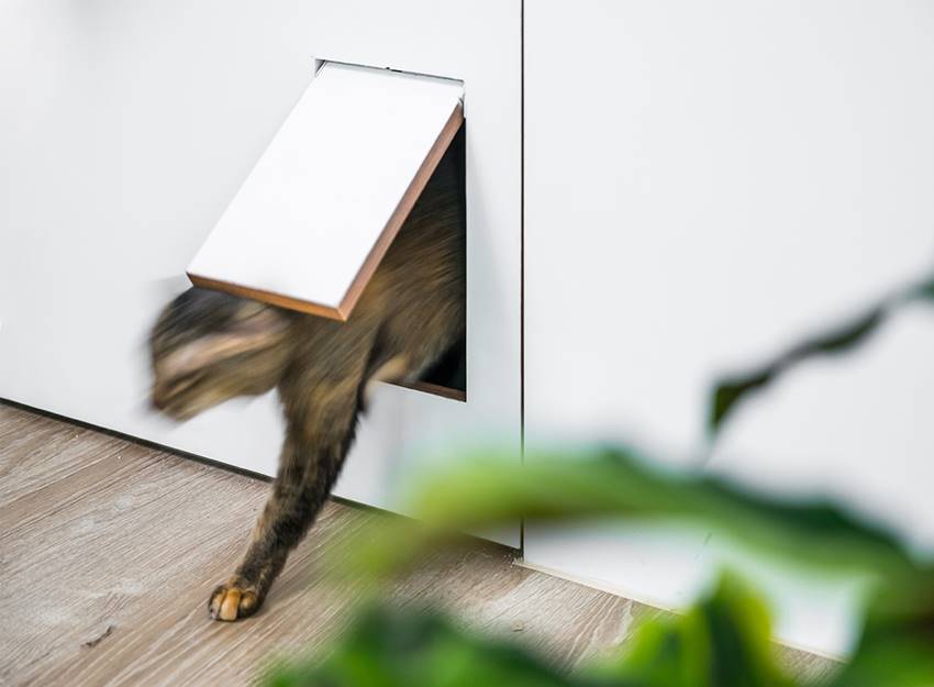 Tổ ấm mini của cặp vợ chồng trẻ với những tấm gương xuyên thấu và không gian giải trí cực chất-15