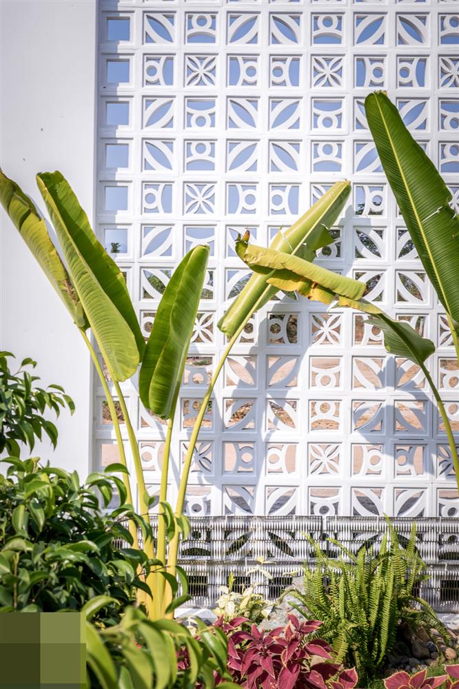 Nhà vườn 1 tầng, 2 mặt tiền rộng hơn 200m2 ai cũng thích mê-7