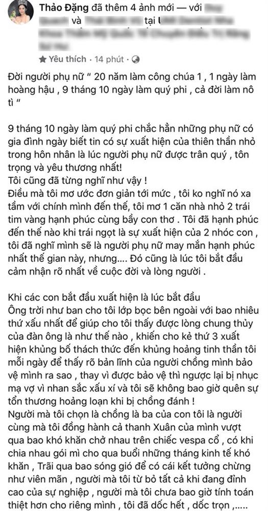 Hoa hậu Đặng Thu Thảo vén màn cuộc hôn nhân với chồng doanh nhân: Từng bị đánh đập, tiểu tam khủng bố tới mức ăn cả bịch khăn giấy trong vô thức-1