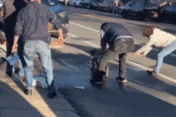 Pitbull nhảy qua hàng rào tấn công chó săn thỏ, gậy gộc cũng thành vô dụng-1