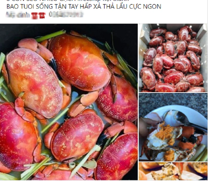 Cù kỳ đỏ càng ngang cua hoàng đế, giá chỉ từ 130k/kg, đang được săn lùng khắp chợ mạng-2