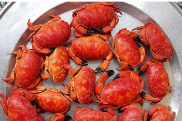 Bỏ gần triệu ăn cua lông Thượng Hải, gần như chắc chắn bị lừa-4