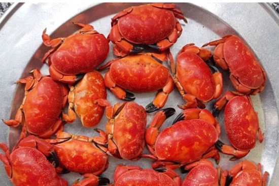 Cù kỳ đỏ càng ngang cua hoàng đế, giá chỉ từ 130k/kg, đang được 