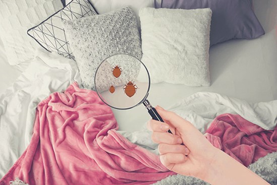 Nệm bị nấm mốc hay ố vàng? Chỉ cần làm theo cách đơn giản này chúng sẽ được làm sạch như mới ngay!