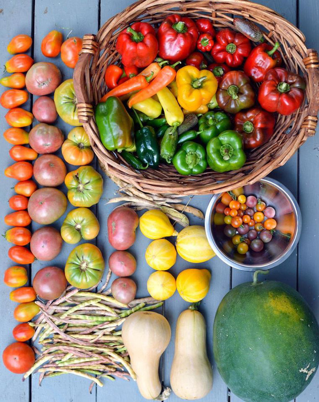 Nhờ mẹ chồng hỗ trợ, con dâu đã sở hữu được khu vườn với đủ loại rau xanh và quả ngọt-7