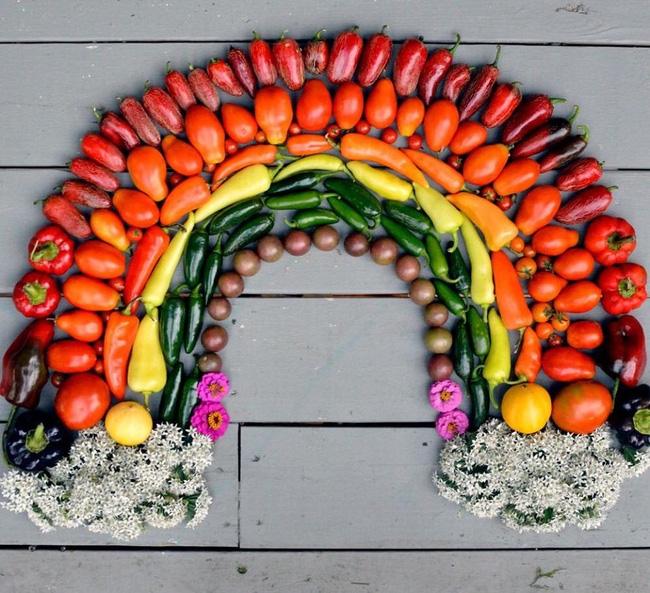 Nhờ mẹ chồng hỗ trợ, con dâu đã sở hữu được khu vườn với đủ loại rau xanh và quả ngọt-8