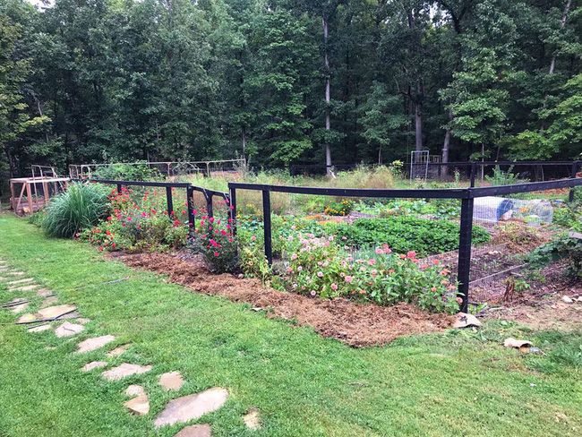 Nhờ mẹ chồng hỗ trợ, con dâu đã sở hữu được khu vườn với đủ loại rau xanh và quả ngọt-10