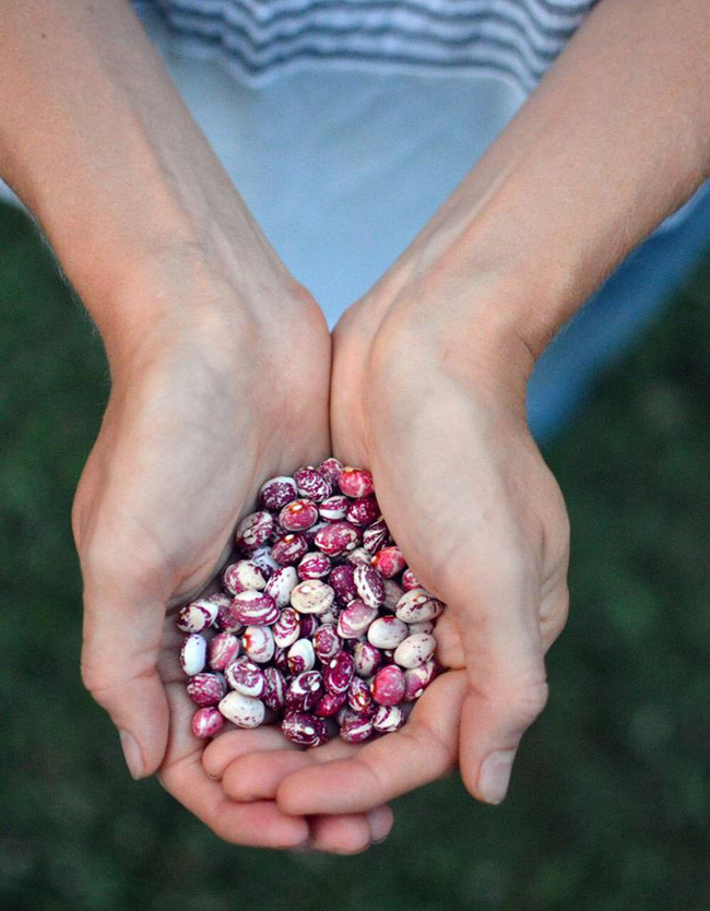 Nhờ mẹ chồng hỗ trợ, con dâu đã sở hữu được khu vườn với đủ loại rau xanh và quả ngọt-12