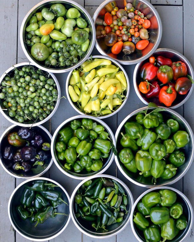 Nhờ mẹ chồng hỗ trợ, con dâu đã sở hữu được khu vườn với đủ loại rau xanh và quả ngọt-13