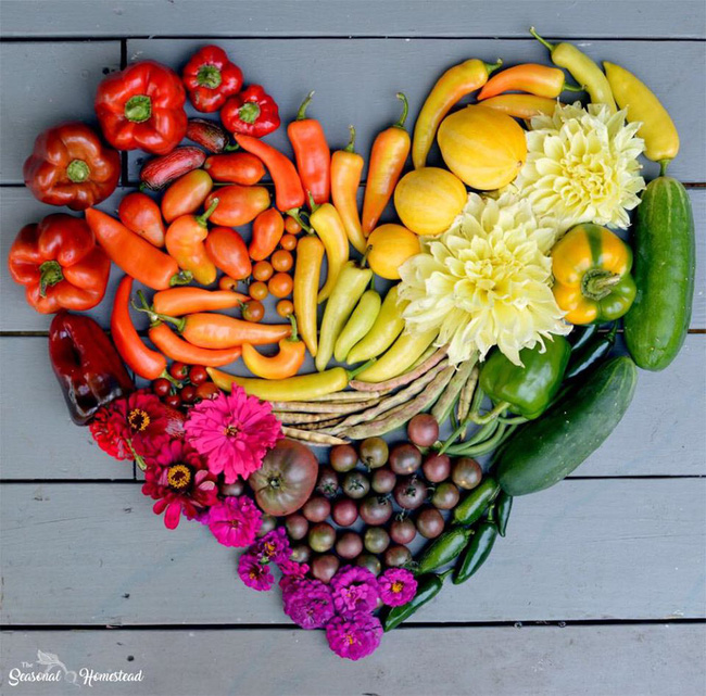 Nhờ mẹ chồng hỗ trợ, con dâu đã sở hữu được khu vườn với đủ loại rau xanh và quả ngọt-15