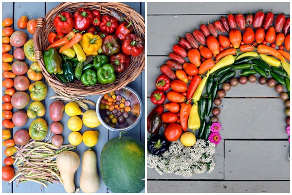 Ấn tượng với ngôi nhà làm phòng ngủ treo ‘lơ lửng’-18