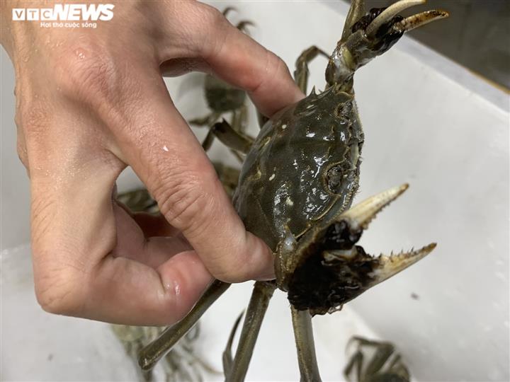 Bỏ gần triệu ăn cua lông Thượng Hải, gần như chắc chắn bị lừa-3