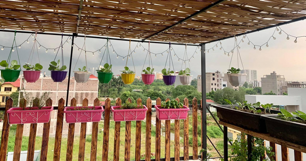 Đầu tư 5 triệu nhưng mẹ Hà Nội thu về cả khu vườn trên mây: Rau củ ăn quanh năm không hết, lại có cả bể bơi cực xịn-7