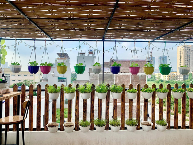 Đầu tư 5 triệu nhưng mẹ Hà Nội thu về cả khu vườn trên mây: Rau củ ăn quanh năm không hết, lại có cả bể bơi cực xịn-6