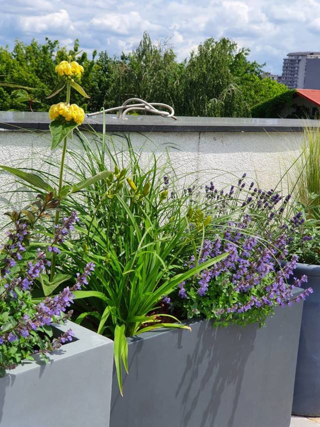 Cách tạo vườn cây trên ban công – không gian thiên nhiên tươi đẹp kết nối giữa bên trong và bên ngoài nhà ở-12