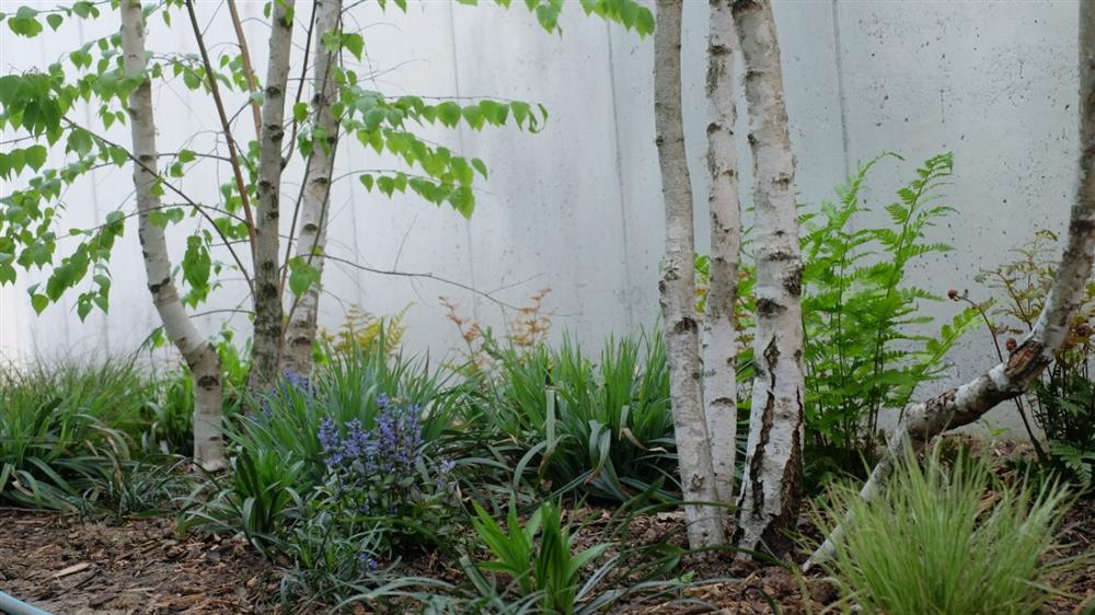 Cách tạo vườn cây trên ban công – không gian thiên nhiên tươi đẹp kết nối giữa bên trong và bên ngoài nhà ở-8