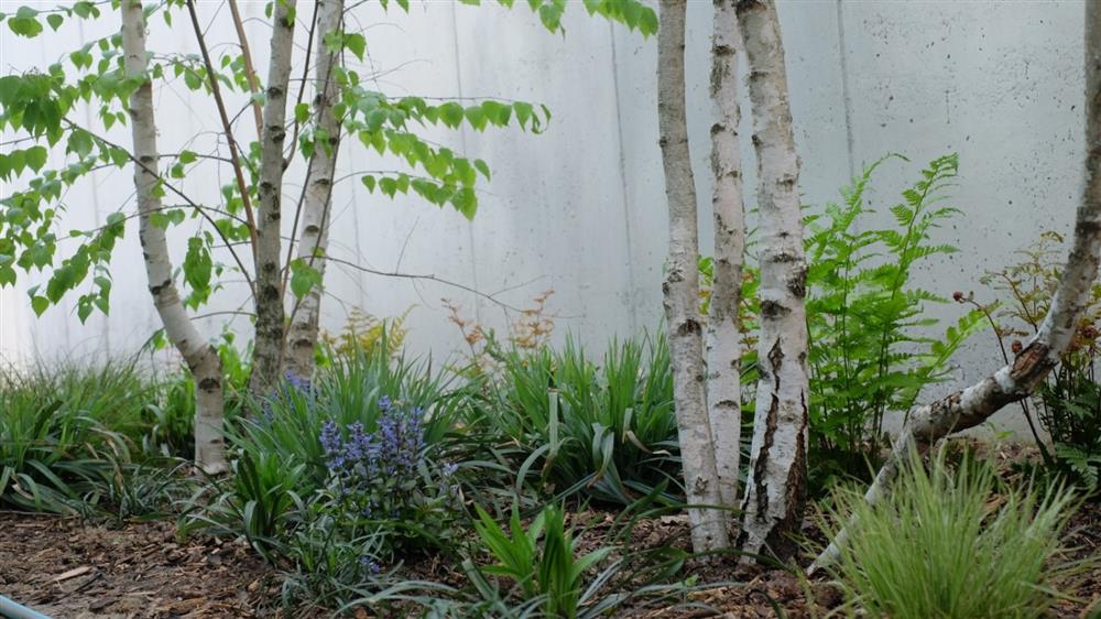 Cách tạo vườn cây trên ban công – không gian thiên nhiên tươi đẹp kết nối giữa bên trong và bên ngoài nhà ở-8