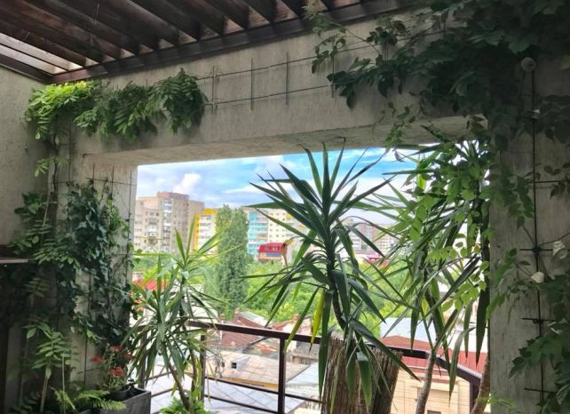 Cách tạo vườn cây trên ban công – không gian thiên nhiên tươi đẹp kết nối giữa bên trong và bên ngoài nhà ở-13