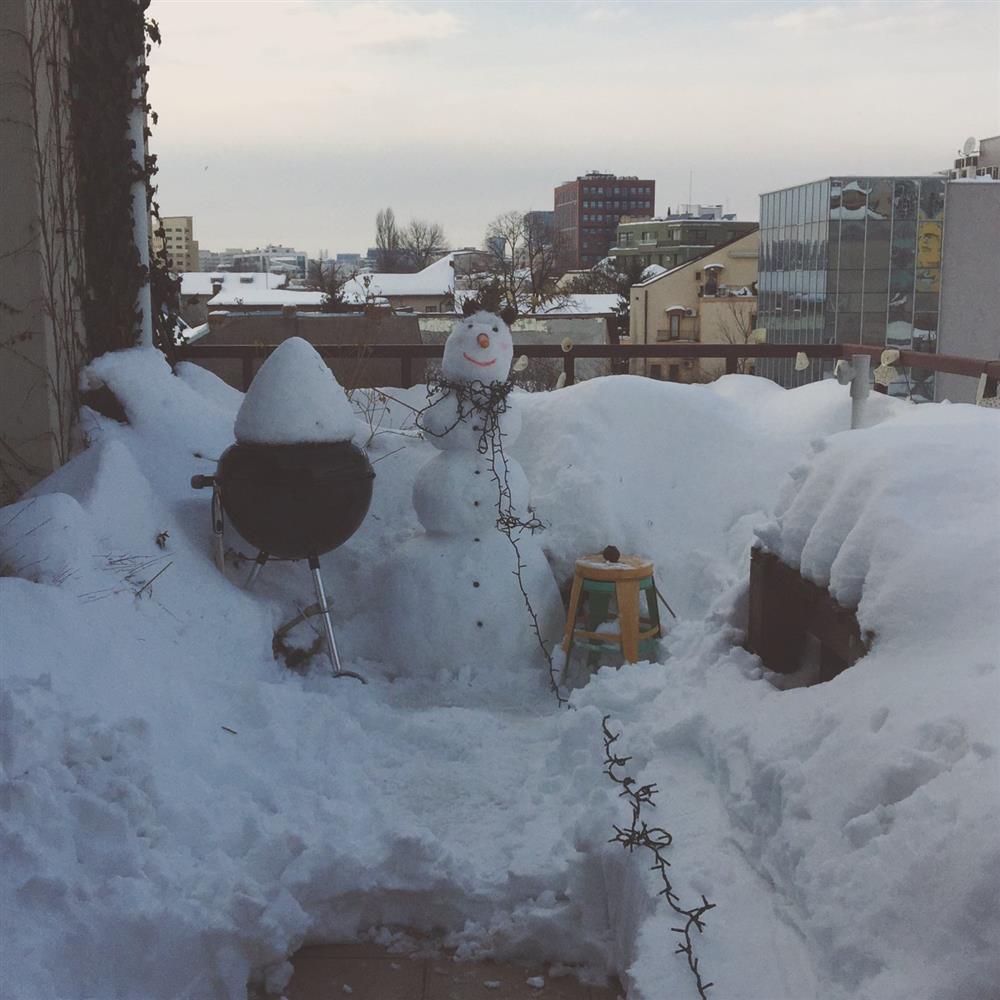 Cách tạo vườn cây trên ban công – không gian thiên nhiên tươi đẹp kết nối giữa bên trong và bên ngoài nhà ở-15