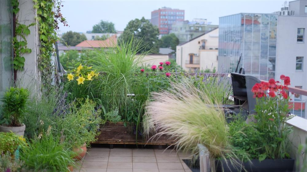 Cách tạo vườn cây trên ban công – không gian thiên nhiên tươi đẹp kết nối giữa bên trong và bên ngoài nhà ở-17