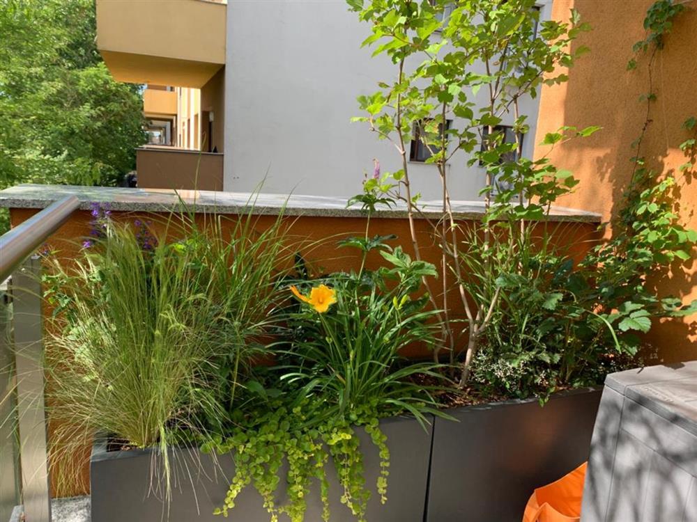 Cách tạo vườn cây trên ban công – không gian thiên nhiên tươi đẹp kết nối giữa bên trong và bên ngoài nhà ở-28