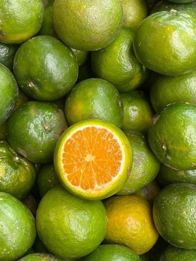Chị em tranh thủ mua gom cam Vinh, giá rẻ chỉ 11 nghìn/kg mỏng vỏ, mọng nước, ít hạt bán tấp nập trên thị trường-3