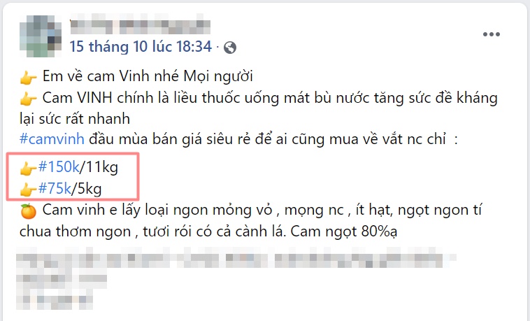 Chị em tranh thủ mua gom cam Vinh, giá rẻ chỉ 11 nghìn/kg mỏng vỏ, mọng nước, ít hạt bán tấp nập trên thị trường-4