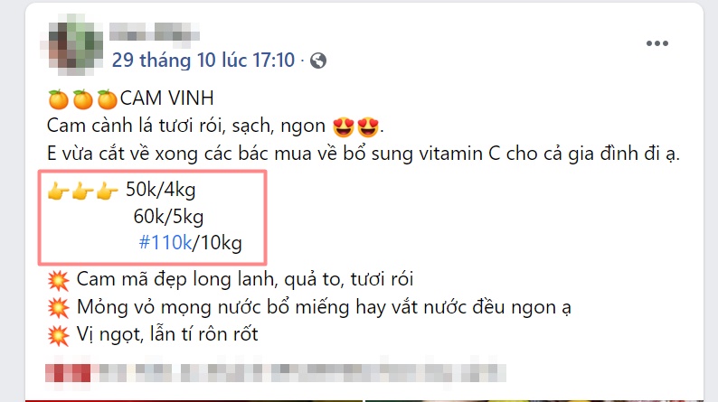 Chị em tranh thủ mua gom cam Vinh, giá rẻ chỉ 11 nghìn/kg mỏng vỏ, mọng nước, ít hạt bán tấp nập trên thị trường-5