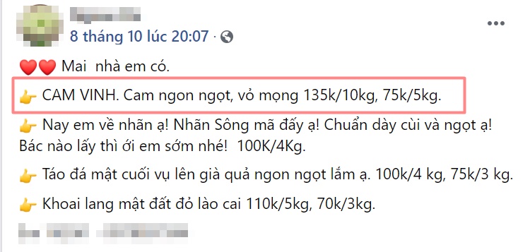 Chị em tranh thủ mua gom cam Vinh, giá rẻ chỉ 11 nghìn/kg mỏng vỏ, mọng nước, ít hạt bán tấp nập trên thị trường-6