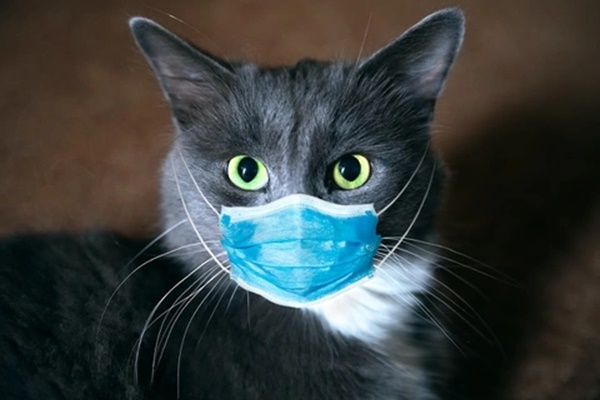 Nhiều trường ở Hải Phòng cho học sinh tạm nghỉ vì xuất hiện F0-2