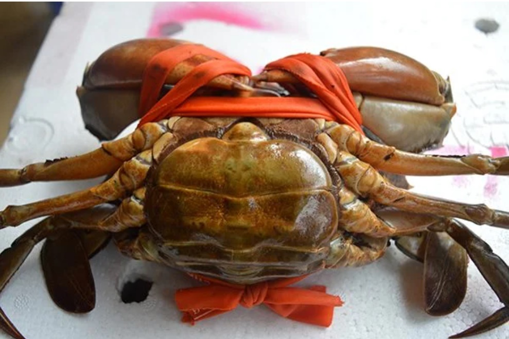 Bí quyết chọn cua, ghẹ 10 con chắc thịt cả 10-1