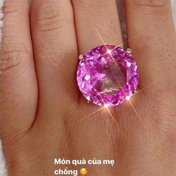 Mẹ chồng Hoa hậu Phạm Hương là ai, giàu có và đối xử như thế nào với con dâu trong gia đình quyền lực ở Mỹ?-2