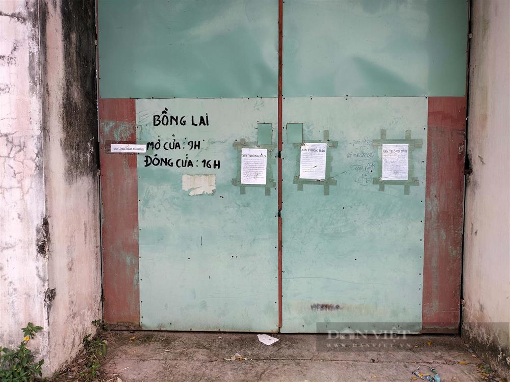 Người dân sống gần Tịnh Thất Bồng Lai: Không dám ý kiến, vì sợ bị ném đá trên mạng xã hội-3