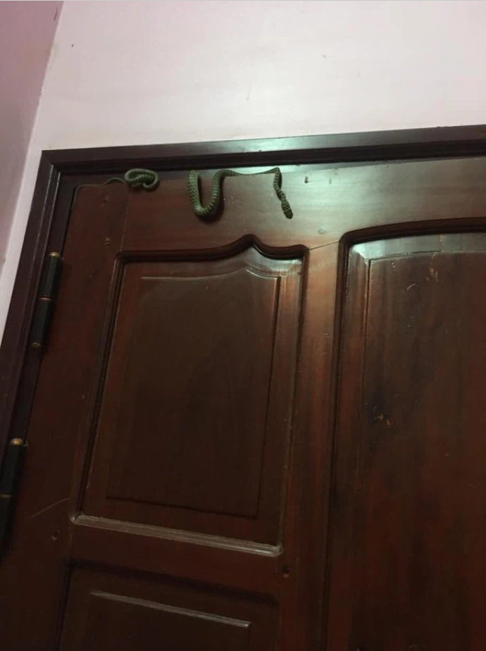 Phát hiện ‘khách không mời’ trước cửa, cô gái vừa khóc vừa có hành động bất ngờ-1