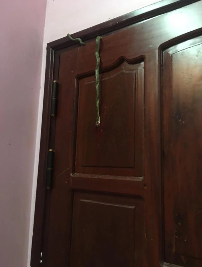 Phát hiện ‘khách không mời’ trước cửa, cô gái vừa khóc vừa có hành động bất ngờ-2