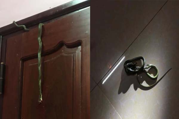 Kinh hoàng nước lũ từ đỉnh núi đổ như thác xuống đường, người dân qua lại trong sợ hãi-3