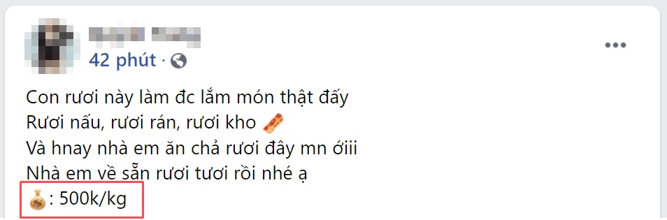 Giá rươi tươi tăng hơn nhiều so với năm ngoái, hơn 600 ngàn/kg do khan hiếm-3