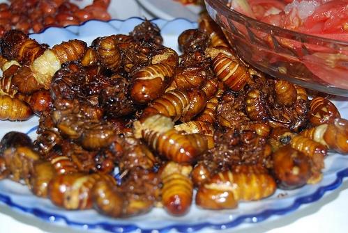 Ba đặc sản Việt nhìn ghê rợn, bò lổm ngổm... giá nửa triệu/kg-7