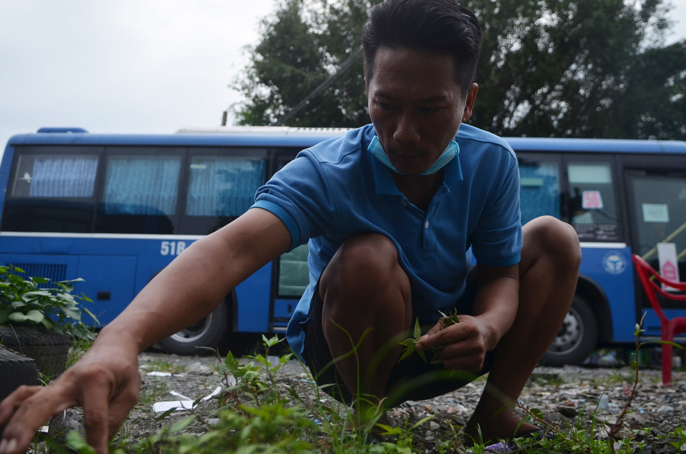 2 cha con sống trên xe buýt xuyên mùa dịch: Con cứ hỏi sao không về nhà là đau thắt lòng-3