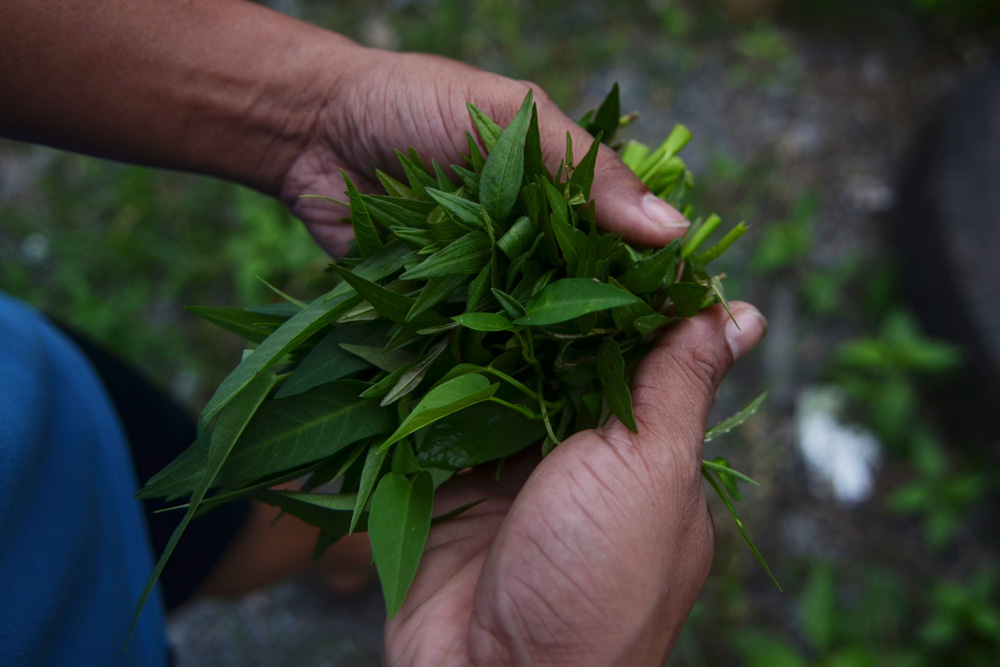 2 cha con sống trên xe buýt xuyên mùa dịch: Con cứ hỏi sao không về nhà là đau thắt lòng-4