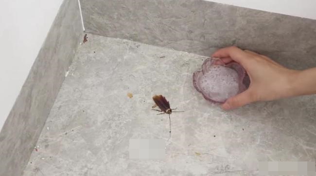 Bột giặt và đường được kết hợp với nhau có thể giải quyết các vấn đề trong gia đình, vừa đơn giản lại thiết thực-3