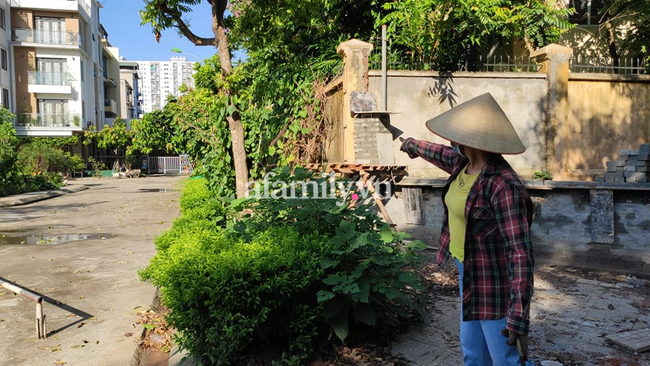 Vụ giết chủ nợ ở Hải Dương: 2 vợ chồng Cao Tài Năng 3 lần lên Hà Nội, cao tay xóa dấu vết chiếc ô tô của nạn nhân thế nào?-2
