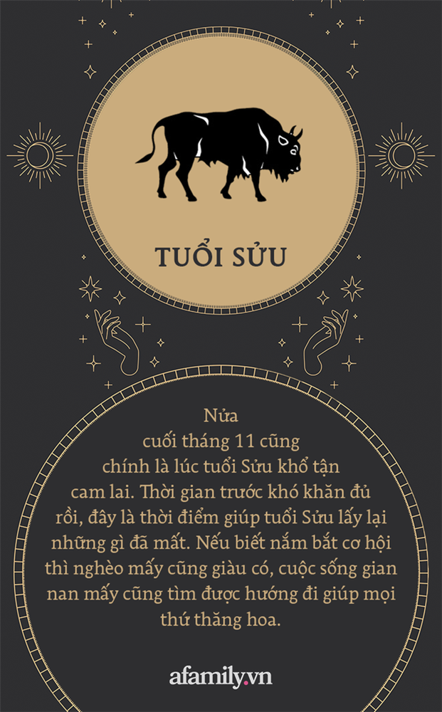 Vận may 12 con giáp nửa cuối tháng 11: Ai cũng gặp chút khó khăn, vài người khác thăng hoa cả tình lẫn tiền vào cuối năm-2