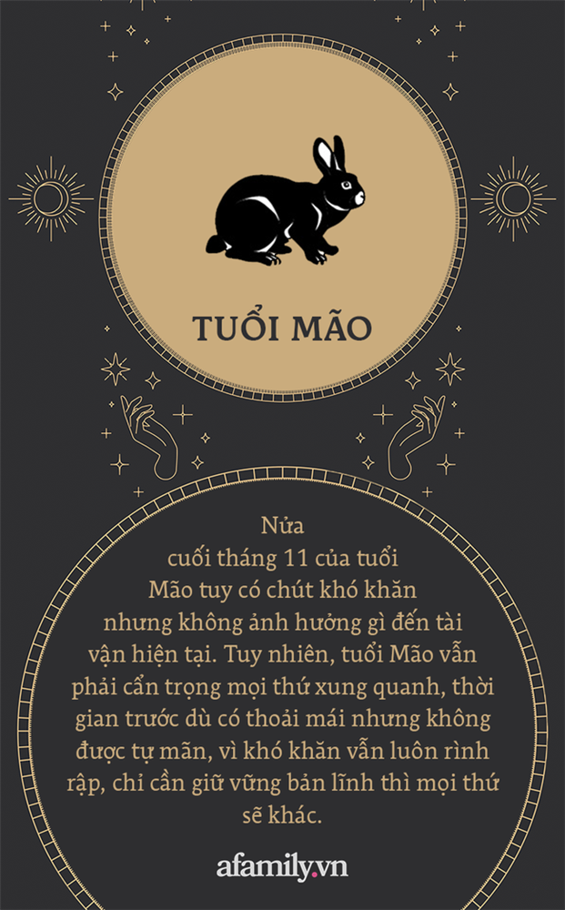 Vận may 12 con giáp nửa cuối tháng 11: Ai cũng gặp chút khó khăn, vài người khác thăng hoa cả tình lẫn tiền vào cuối năm-4