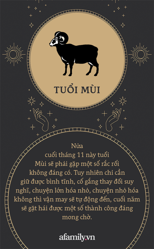 Vận may 12 con giáp nửa cuối tháng 11: Ai cũng gặp chút khó khăn, vài người khác thăng hoa cả tình lẫn tiền vào cuối năm-8