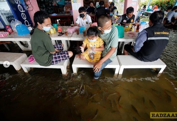 Sau trận mưa lớn nước tràn vào tận phòng ngủ, cô gái quay cảnh tượng dưới chân giường khiến triệu người hãi hùng-3