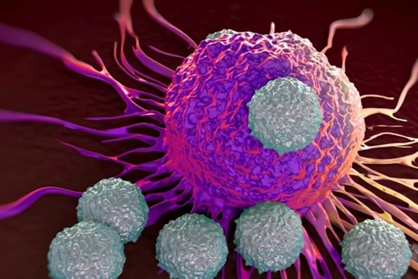 Nghiên cứu mới lý giải hiện tượng không mắc Covid-19 dù tiếp xúc gần-1